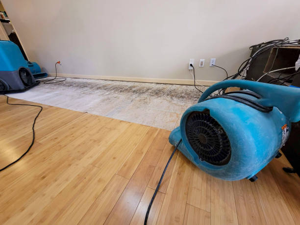 Professional Water Damage Repair technician working in Fairview, CA